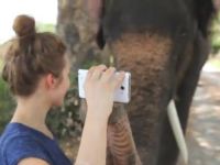 VIDEO INCREDIBIL! Primul elefant care si-a luat Galaxy Note: Canta la chitara, face poze zi deseneaza! N-ai cum sa nu te indragostesti de el