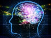Ce se intampla cu creierul pasionatilor de gadgeturi. Raspunsul dat de Societatea de Neurologie din Romania