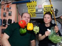 Ziua Recoltei in spatiu. Primele legume si fructe crescute pe Statia Spatiala Internationala