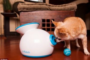 iFetch, dispozitivul care are grija de animalul tau de companie cand tu n-ai chef