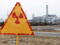 Pasarile din aria centralei nucleare de la Cernobil s-au adaptat radiatiilor