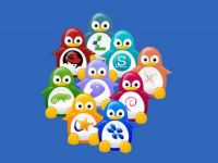 Linux.com: Romanca Teodora Baluta a gasit o metoda noua pentru curatarea Linuxului de erori