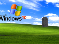 Windows XP ramane la putere in jumatate dintre companiile mici si medii romanesti