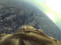 Record mondial spectaculos: zborul de pe Burj Khalifa al unui vultur imperial. Video