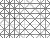 O iluzie optica a indus in eroare peste 2 milioane de oameni! Cate puncte negre sunt in imagine