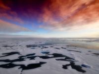 Imagini tulburatoare surprinse la Polul Sud! Cercetatorii credeau ca asa ceva este imposibil