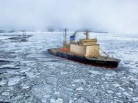 Descoperire tulburatoare in Oceanul Arctic! Ce au gasit cercetatorii pe sloiurile de gheata