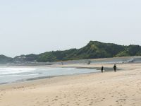 Descoperire alarmanta langa Fukushima! Ce se intampla pe plajele din apropierea centralei nucleare