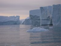 Record nedorit la Polul Nord. Ce s-a intamplat cu banchiza polara in aceasta iarna