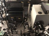 A fost inventată cea mai rapidă cameră de filmat din lume. Captează 10 trilioane de cadre pe secundă
