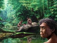 De ce au dispărut Hobiții? Misterul extincției unei specii umane