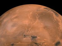Experiment extraordinar: ce s-a întâmplat cu legumele plantate de oamenii de știință în solul de pe Marte