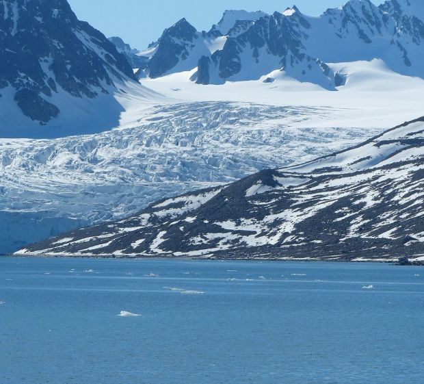 Topirea gheții de la Polul Nord a scos la lumină forme de viață îngropate de 40.000 de ani