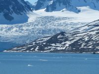 Topirea gheții de la Polul Nord a scos la lumină forme de viață îngropate de 40.000 de ani