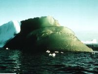 Misterul ghețarilor verzi din Antarctica. Fenomenul care i-a uimit pe cercetători