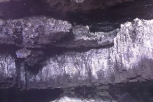 Iluzia optică extraordinară descoperită de cercetători pe fundul oceanului, la peste 1800 de metri adâncime