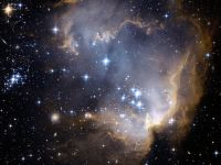 NASA se pregăteşte să trimită organisme vii în spaţiul cosmic