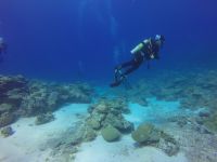 Descoperire surprinzătoare în Groapa Marianelor. Ce ascunde cel mai adânc loc de pe planetă VIDEO