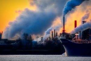 Temperaturi record înregistrate în iunie 2019. Care este efectul încălzirii globale