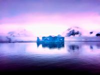 Situația inexplicabilă descoperită de cercetători în Antarctica. Fenomenul care i-a luat pe toți prin surprindere