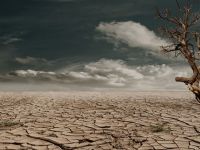 Efectele schimbărilor climatice. Omenirea riscă o criză alimentară fără precedent