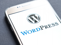 Alerta de securitate pentru 60 de milioane de utilizatori Wordpress