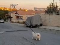 Ca să respecte carantina, un bărbat și-a scos câinele la plimbare cu drona