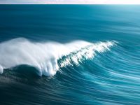 Oceanele lumii captează de două ori mai mult carbon decât credeau specialiștii
