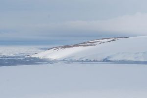 Topirea ghețurilor în Antarctica a scos la iveală detalii incredibile. Ce au găsit oamenii de știință după mai bine de 5 milenii