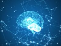 Hormonul foamei are impact asupra memoriei. Cât de strânsă este conexiunea dintre intestin și creier