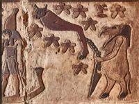 Imagini stranii, descoperite pe pereții unui templu egiptean. Ce reprezintă basorelieful