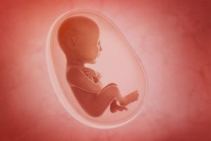Oamenii de știință, șocați după ce au analizat placente provenite de la mai multe mame. bdquo;Nou născutul ar fi ca un cyborg