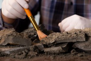 Premieră istorică. Arheologilor nu le-a venit să creadă ce au găsit atunci când efectuau un studiu de rutină