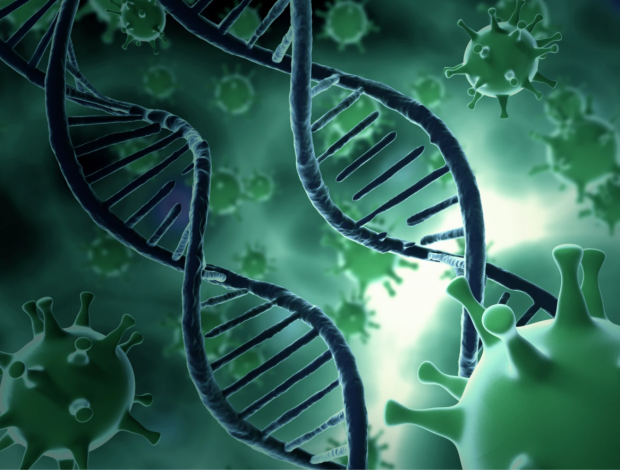 Cercetătorii au dezactivat o genă responsabilă de dezvoltarea cancerului. Testele clinice ar putea începe curând